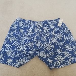 Brooks Brothers Mens Swim Trunks